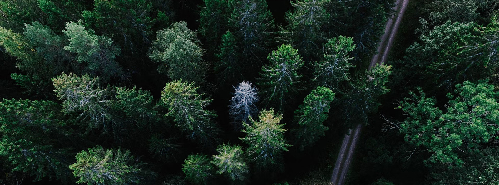 Jiangsu Xiangyi Textile Technology (Gruppo) Co., Ltd.